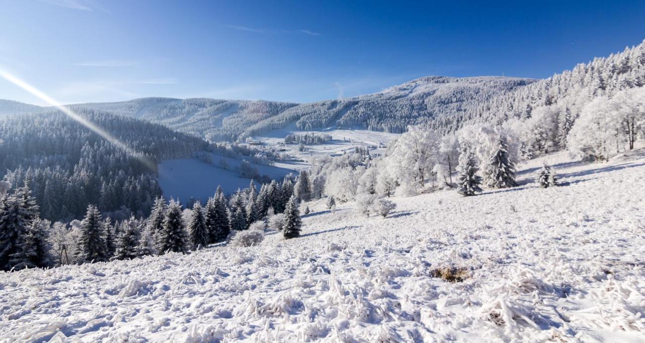 Kosowka Czarna Gora Bed and Breakfast Stronie Śląskie Buitenkant foto